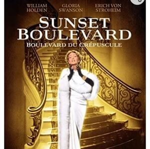 Sunset Boulevard DVD Classic Movie Film Black & White